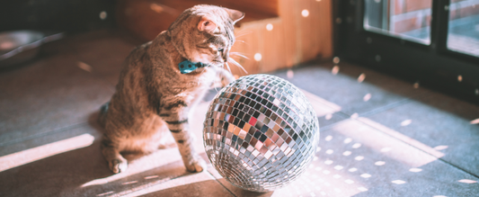 Éclairage intelligent et astrologie : de la lumière en harmonie avec votre signe astrologique