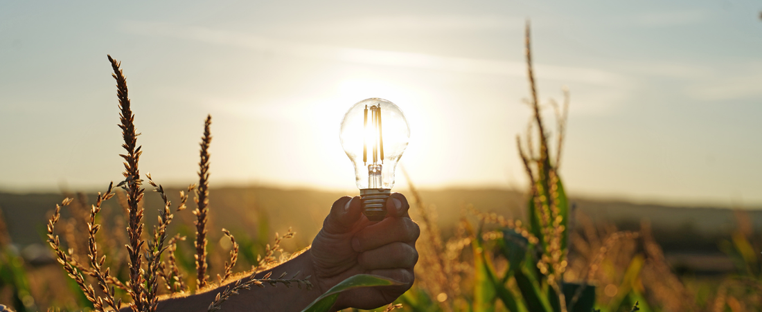 La puissance du soleil ! Tout savoir sur les LED solaires