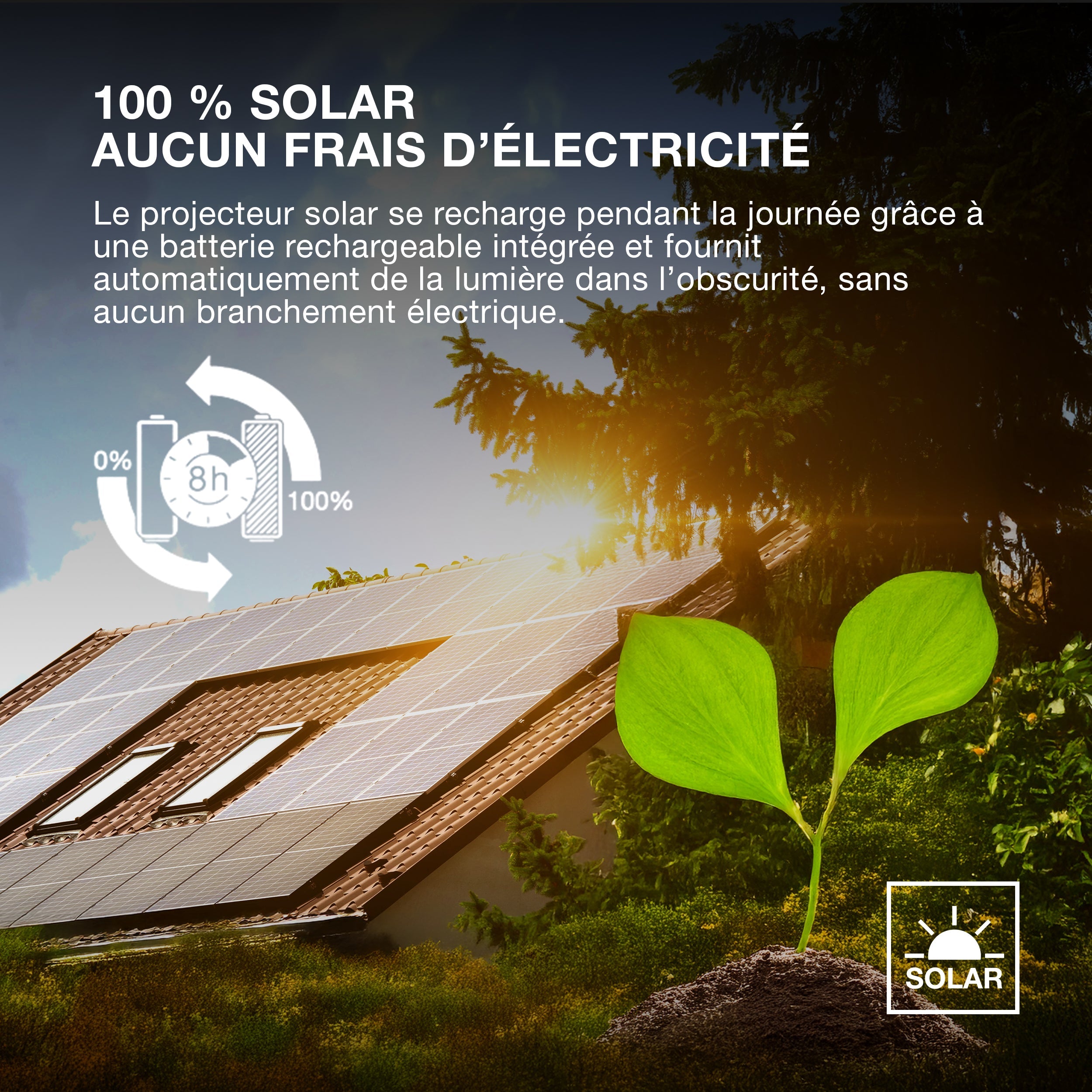 ; ; ; ; ; ; ; ; 