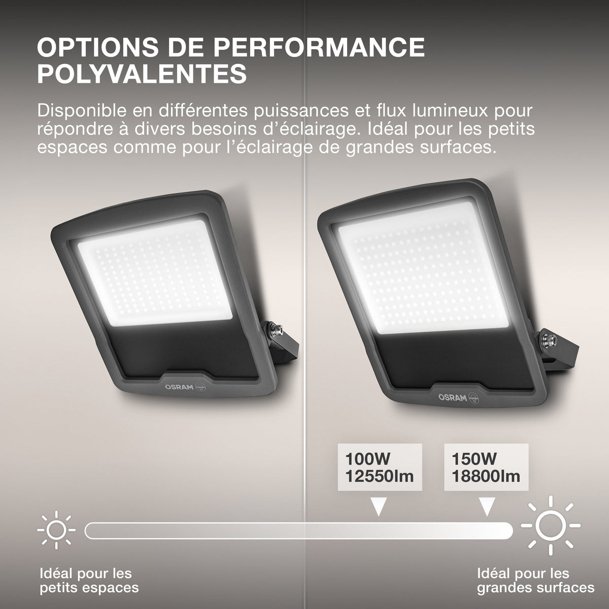 ; ; ; ; ; ; ; 