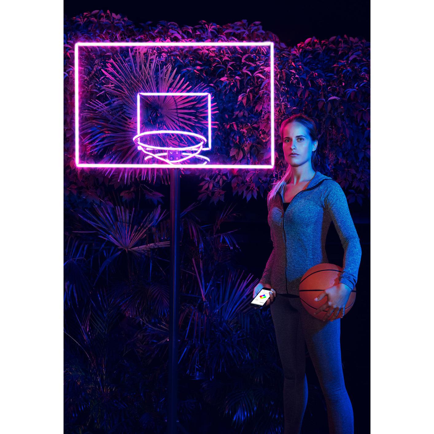 ; ; ; 