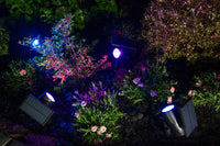 LEDVANCE SMART+ Garten Bluetooth Solar RGB Spot Gartenspieß, schwarz