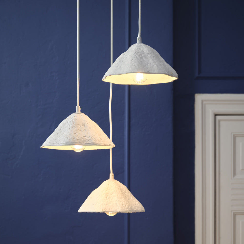 10 Feuilles De Catappa (Badamier) 10cm+ - Qualité Premium - Pour Aquarium & Santé Des Poissons