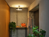 OSRAM Decor Curve Felt Ceiling 33W 830 Dark Grey