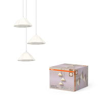 ; ; ;