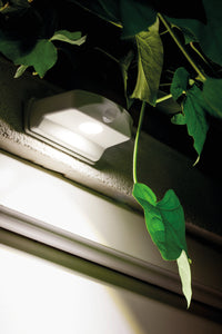 OSRAM Door LED Down White