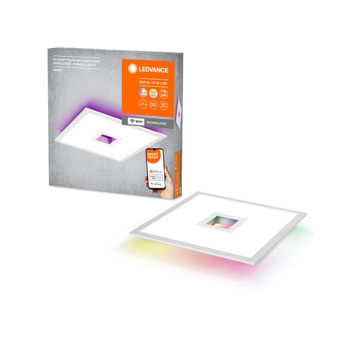; ;